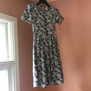 NWT XS LulaRoe Amelia dress